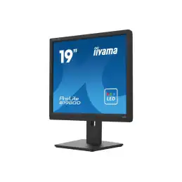 iiyama ProLite - Écran LED - 19" - 1280 x 1024 @ 60 Hz - TN - 250 cd - m² - 1000:1 - 5 ms - DVI, VGA... (B1980D-B5)_4