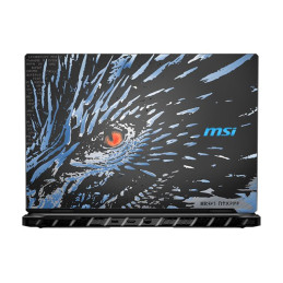 Dragon Edition Norse Myth - Intel Core Ultra 9 - 285HX - jusqu'à 5.5 GHz - Win 11 Pro - GeForce... (9S7-1824A5-283)_3
