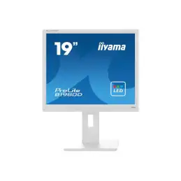 iiyama ProLite - Écran LED - 19" - 1280 x 1024 @ 60 Hz - TN - 250 cd - m² - 1000:1 - 5 ms - DVI, VGA... (B1980D-W5)_1