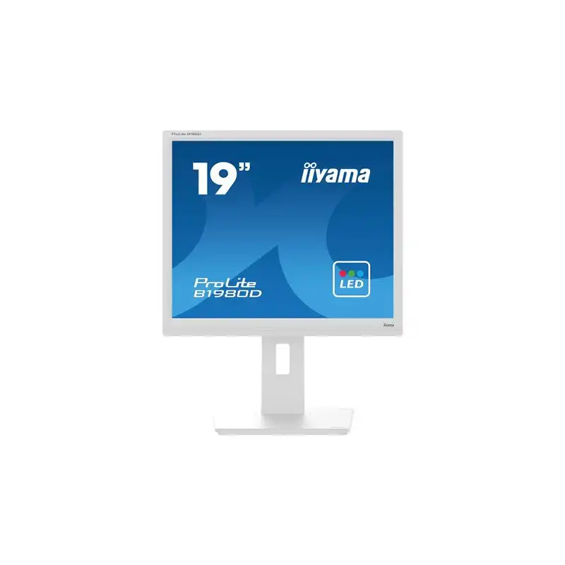 iiyama ProLite - Écran LED - 19" - 1280 x 1024 @ 60 Hz - TN - 250 cd - m² - 1000:1 - 5 ms - DVI, VGA... (B1980D-W5)_1