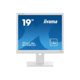 iiyama ProLite - Écran LED - 19" - 1280 x 1024 @ 60 Hz - TN - 250 cd - m² - 1000:1 - 5 ms - DVI, VGA... (B1980D-W5)_2