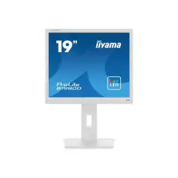 iiyama ProLite - Écran LED - 19" - 1280 x 1024 @ 60 Hz - TN - 250 cd - m² - 1000:1 - 5 ms - DVI, VGA... (B1980D-W5)_3