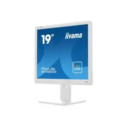 iiyama ProLite - Écran LED - 19" - 1280 x 1024 @ 60 Hz - TN - 250 cd - m² - 1000:1 - 5 ms - DVI, VGA... (B1980D-W5)_4