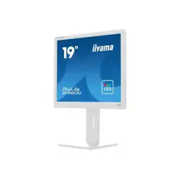 iiyama ProLite - Écran LED - 19" - 1280 x 1024 @ 60 Hz - TN - 250 cd - m² - 1000:1 - 5 ms - DVI, VGA... (B1980D-W5)_5