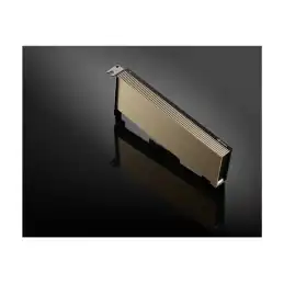 Processeur de calcul - NVIDIA A2 Tensor Core - 16 Go GDDR6 - PCIe 4.0 x8 profil bas - san v... (900-2G179-0020-101)_1