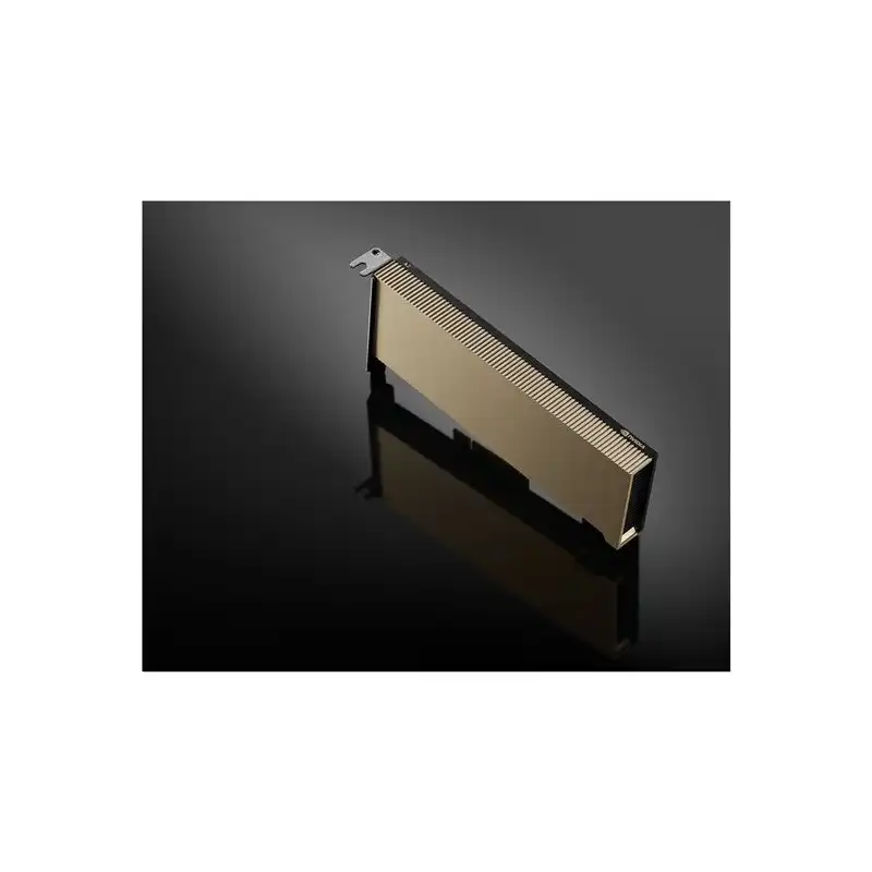 Processeur de calcul - NVIDIA A2 Tensor Core - 16 Go GDDR6 - PCIe 4.0 x8 profil bas - san v... (900-2G179-0020-101)_1