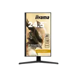 Écran LED - 25" (24.5" visualisable) - 1920 x 1080 Full HD (1080p) @ 240 Hz - Fast IPS - 400 cd -... (GB2590HSU-B1)_1