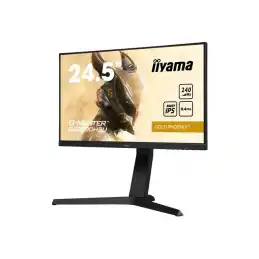 Écran LED - 25" (24.5" visualisable) - 1920 x 1080 Full HD (1080p) @ 240 Hz - Fast IPS - 400 cd -... (GB2590HSU-B1)_2