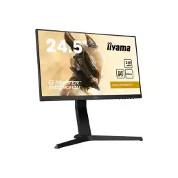 Écran LED - 25" (24.5" visualisable) - 1920 x 1080 Full HD (1080p) @ 240 Hz - Fast IPS - 400 cd -... (GB2590HSU-B1)_3