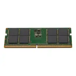 DDR5 - module - 32 Go - SO DIMM 262 broches - 5600 MHz - PC5-44800 - mémoire enregistré - ECC - pour W... (79U73AA)_1