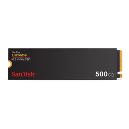 SSD - 500 Go - interne - M.2 2280 - PCIe 4.0 x4 (NVMe) (SDSSDX3N-500G-G26)_1