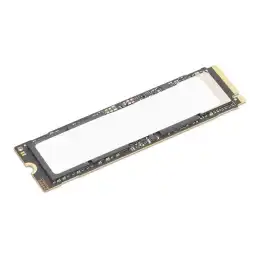 ThinkStation 1TB Performance PCIe Gen5 NVMe OPAL M.2 2280 SSD (4XB1S30112)_1