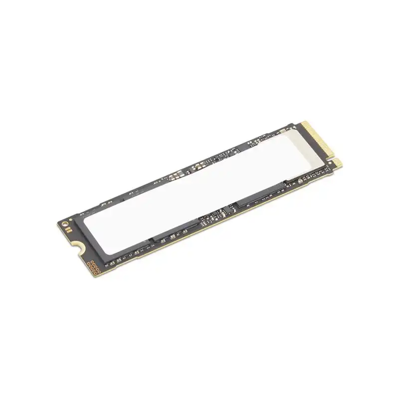 ThinkStation 1TB Performance PCIe Gen5 NVMe OPAL M.2 2280 SSD (4XB1S30112)_1
