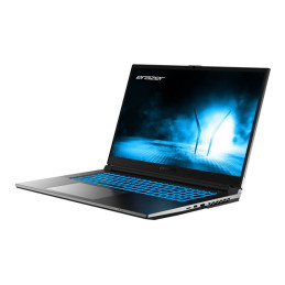 Intel Core i5 - 12450H - jusqu'à 4.4 GHz - Win 11 Home - GF RTX 4050 - 16 Go RAM - 512 Go SSD - 17.3"... (30036582)_1