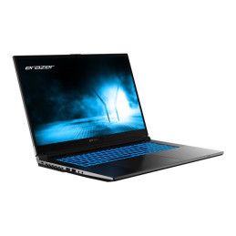 Intel Core i5 - 12450H - jusqu'à 4.4 GHz - Win 11 Home - GF RTX 4050 - 16 Go RAM - 512 Go SSD - 17.3"... (30036582)_3