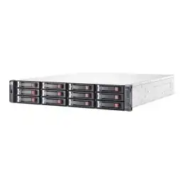 Baie de disques - iSCSI (1 GbE) (externe) - rack-montable - 2U (E7W01A)_1
