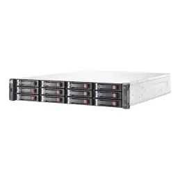 Baie de disques - iSCSI (10 GbE) (externe) - rack-montable - 2U (E7W03A)_1