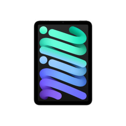 Tablette - 128 Go - 8.3" IPS (2266 x 1488) - gris sidéral (MXN63NF/A)_1