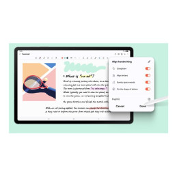 Tablette - Android - 128 Go - 13.1" TFT (2800 x 1800) - Logement microSD - gris (SM-X620NZAREUB)_5