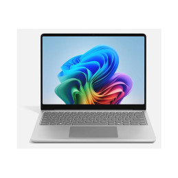 Lp13inSDP - 16 - 256CM SC French France Comm Platinum Metal (EP2-31215)_2