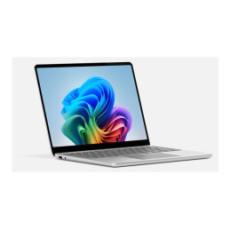 Lp13inSDP - 16 - 256CM SC French France Comm Platinum Metal (EP2-31215)_3