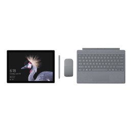 11th Edition - tablette - Snapdragon X Plus - X1P-64-100 - jusqu'à 3.6 GHz - Win 11 Pro - Qualcomm A... (ZIK-00004)_2