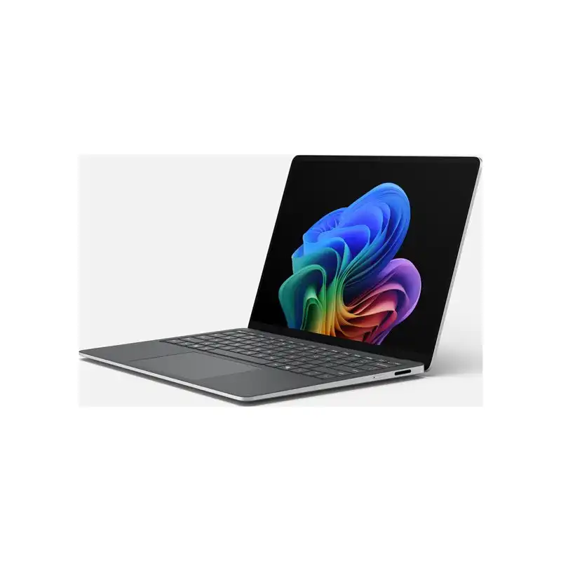 SfcLp5G13.8tC7 - 32 - 1TCMxPS W11 Plat (EP2-40090)_1