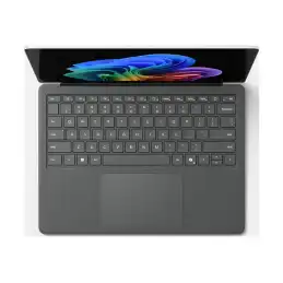 SfcLp5G13.8tC7 - 32 - 1TCMxPS W11 Plat (EP2-40090)_4