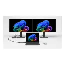 SfcLp5G13.8tC7 - 32 - 1TCMxPS W11 Plat (EP2-40090)_10