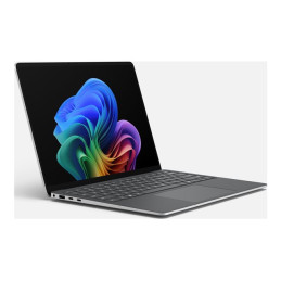 SfcLp5G13.8tC5 - 16 - 256CMxPS W11 Plat (EP2-40027)_3