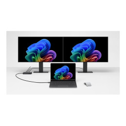 SfcLp5G13.8tC7 - 32 - 256CMxPS W11 Plat (EP2-40065)_10