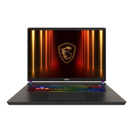 Intel Core Ultra 9 - 275HX - jusqu'à 5.4 GHz - Win 11 Home Advanced - GeForce RTX 5070 Ti - 32 ... (9S7-17S372-011)_1