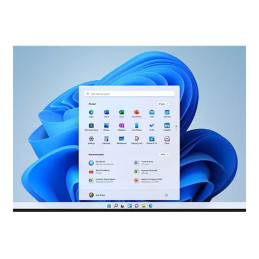 Intel Celeron N - N4500 - jusqu'à 2.8 GHz - Win 11 Home - UHD Graphics - 8 Go RAM - 256 Go SSD NVMe... (82LV006HFR)_3