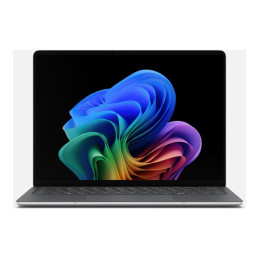 SfcLp5G13.8tC5 - 16 - 256CMxPS W11 Plat (EP2-40027)_2