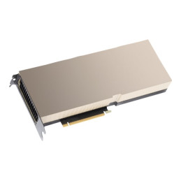 Processeur de calcul - NVIDIA H100 Tensor Core - 80 Go HBM3 - PCI Express 5.0 - san ventilateur - pour ... (R9S41C)_1