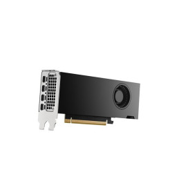 Carte graphique - NVIDIA RTX 2000 Ada - 16 Go GDDR6 - 4 x Mini DisplayPort (8D6B8AA)_6