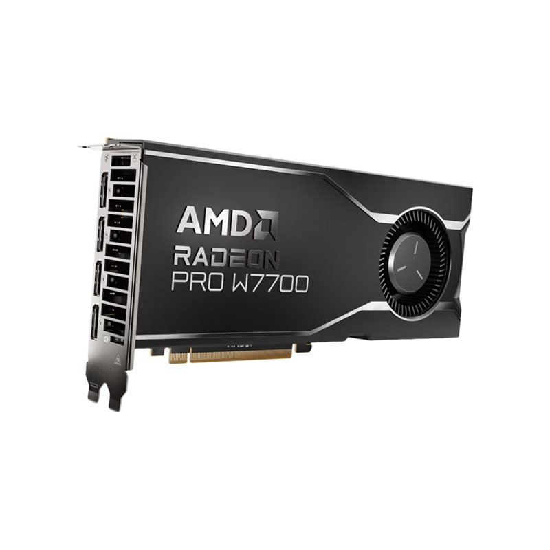 Carte graphique - Radeon Pro W7700 - 16 Go GDDR6 - PCIe 4.0 x16 - 4 x DisplayPort (100-300000006)_1