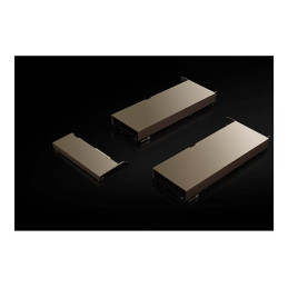 Processeur de calcul - NVIDIA A2 Tensor Core - 16 Go GDDR6 - PCIe 4.0 x8 profil bas - san v... (900-2G179-0020-100)_2