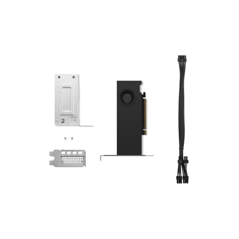 Carte graphique - NVIDIA RTX 2000 Ada - 16 Go GDDR6 - PCIe 4.0 x8 profil bas - 4 x DisplayPort (4X61P69962)_1