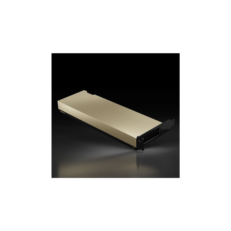 Processeur de calcul - L4 - 24 Go GDDR6 - PCIe 4.0 x16 profil bas - san ventilateur (900-2G193-0000-001)_1