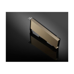 Processeur de calcul - NVIDIA A2 Tensor Core - 16 Go GDDR6 - PCIe 4.0 x8 profil bas - san v... (900-2G179-0020-101)_1