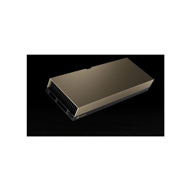 Processeur de calcul - L40 - 48 Go GDDR6 - PCIe 4.0 x16 - 4 x DisplayPort - san ventilateur (900-2G133-0010-000)_1