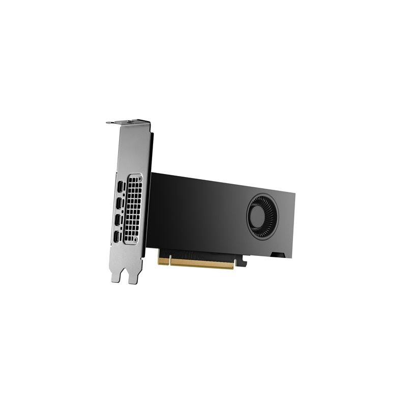 Carte graphique - NVIDIA RTX 2000 Ada - 16 Go GDDR6 - 4 x Mini DisplayPort (8D6B8AA)_1