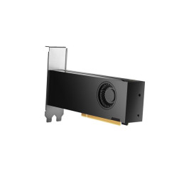 Carte graphique - NVIDIA RTX 2000 Ada - 16 Go GDDR6 - 4 x Mini DisplayPort (8D6B8AA)_3