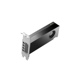 Carte graphique - NVIDIA RTX 2000 Ada - 16 Go GDDR6 - 4 x Mini DisplayPort (8D6B8AA)_4