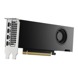 Carte graphique - NVIDIA RTX 2000 Ada - 16 Go GDDR6 - PCIe 4.0 x8 - 4 x Mini DisplayPort (DELL-M7X81)_1