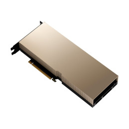 Processeur de calcul - A100 Tensor Core - 80 Go HBM2E - PCIe 4.0 - pour ProLiant DL380 Gen10, DL385 Gen... (R9P49C)_1