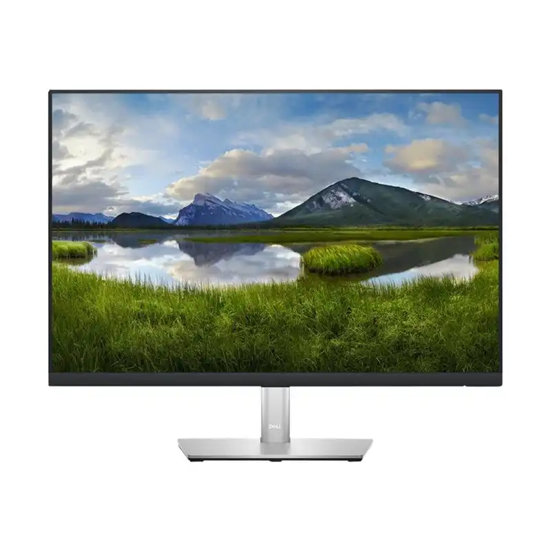 Dell P2423 - Écran LED - 24" - 1920 x 1200 WUXGA @ 60 Hz - IPS - 300 cd - m² - 1000:1 - 5 ms - HDMI, DVI... (DELL-P2423)_1