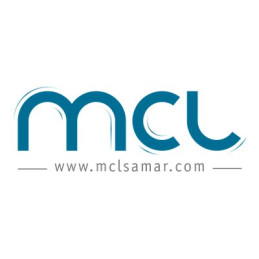 Commutateur écran-clavier-souris - audio - USB - 4 x KVM - audio - USB - 1 utilisateur local - de... (CAS-462DVI/U)_2