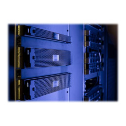 Serveur - Montable sur rack 2U - 1 x Xeon Silver - RAM 32 Go - hot-swap - HDD 12 x 12 To, SSD 240 Go... (02541-001)_4